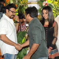 Venky and Trisha New Movie Launch Stilss | Picture 33932